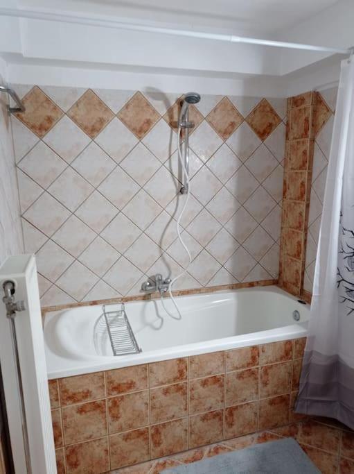Trikala Alex House Apartment ภายนอก รูปภาพ